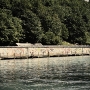 dsc4776